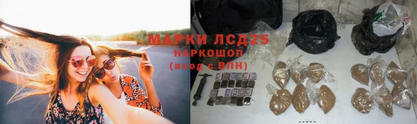 Альфа ПВП Богородск