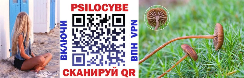 blacksprut зеркало  Муравленко  Галлюциногенные грибы мухоморы 